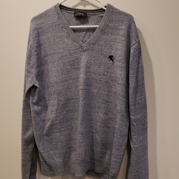 Express Other - Express sweater